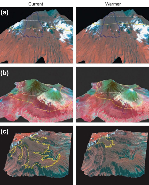 <p><strong><u>Warming may Exacerbate Vector-Borne Diseases &amp; Fungal Pathogens</u></strong></p><ul><li><p><span style="color: yellow">Higher temperatures <strong>SPEED UP </strong>development rates and sometimes egg-laying frequency of vectors </span>(arthropods that transmit pathogens (which develop within the vector)</p></li><li><p><span style="color: yellow">Shorter winters</span> or <span style="color: red">wider areas of warm weather</span> may <span style="color: red"><strong>INCREASE </strong></span>geographic range of various disease vectors (e.g. mosquitoes and Dengue Fever)</p></li><li><p><span style="color: red">Fungal pathogens may also <strong>THRIVE </strong>in <strong>WARMER </strong>climates;</span></p><ul><li><p>This is a RISK for plants, esp. crops, and also amphibians</p></li></ul></li></ul><p></p><ol><li><p>Blackflies: River blindness</p></li><li><p>Mosquitoes: Dengue Fever, Yellow Fever, West Nile Fever, Malaria, and Elephantiasis.</p></li><li><p>Sandflies: Dum-Dum Fever, Black Fever, and Orient Boils</p></li><li><p>Ticks: Lyme Disease, Tick-borne Meningoencephalitis</p></li><li><p>Kissing Bugs: Chagas Disease (American trypanosomiasis)</p></li><li><p>Tsetse Flies: African Trypanosomiasis (African Sleeping Sickness)</p></li></ol><p></p><p><strong><u>Increasing Range of Dengue Fever Infection Risk via MOSQUITOES </u>(</strong><span style="color: rgb(13, 242, 231)"><strong>GRAPH 1</strong></span><strong>)</strong></p><ul><li><p>Presently only about 35% of the world population is at risk of contracting Dengue Fever</p></li><li><p>Future projections raise that number to a whopping 50-60%</p></li><li><p>Rising <strong>global temperatures</strong>, <strong>altered precipitation patterns</strong>, and <span style="color: green"><strong>increased humidity</strong> are creating more <strong>favorable conditions</strong> for mosquito survival and reproduction in </span><span style="color: yellow">areas previously too cold or dry for them to thrive.</span></p></li></ul><p></p><p><strong><u>Expanding Malaria Zone</u></strong></p><ul><li><p>Malaria is currently <span style="color: yellow"><strong>RARE </strong>in the highlands of Zimbabwe</span></p></li><li><p>Malaria parasites <span style="color: red"><strong>mature up to 10 days more RAPIDLY </strong>under projected temperature increases</span></p></li><li><p>This allows the disease to persist in formerly inhospitable areas</p></li></ul><p>By 2050, Malaria will spread like crazy across Zimbabwe (orange and red colors denote suitable conditions for Malaria transmission)</p><p></p><p><strong><u>Projected Changes in 17 C (Yellow) and 13 C (White) Isotherms that LIMIT the distribution of avian (bird) Malaria under current and +2C WARMING Conditions</u></strong></p><ul><li><p>(<span style="color: rgb(10, 239, 234)"><strong>GRAPH 2</strong></span><strong>)</strong></p></li><li><p>As the climate warms by <strong>+2°C</strong>, the <strong>17°C and 13°C </strong><span style="color: red"><strong>isotherms</strong> (temperature limits/lines on a map for avian malaria) shift <strong>upslope</strong>, reducing malaria-free zones in high-elevation Hawaiian bird refuges.</span></p><ul><li><p>Malaria parasite PREVIOULSY could not survive in high-elevation but now can due to cold edge moving poleward</p></li></ul></li><li><p>This threatens <strong>native forest birds</strong> like honeycreepers, as they have <strong>nowhere higher to escape</strong> from disease-carrying mosquitoes.</p></li><li><p>The study predicts <strong>severe habitat loss</strong> for these birds, increasing their risk of extinction.</p><p></p></li></ul><p>MAIN IDEA OVERALL: As climate change CONTINUES, species will move polewards and higher up</p>