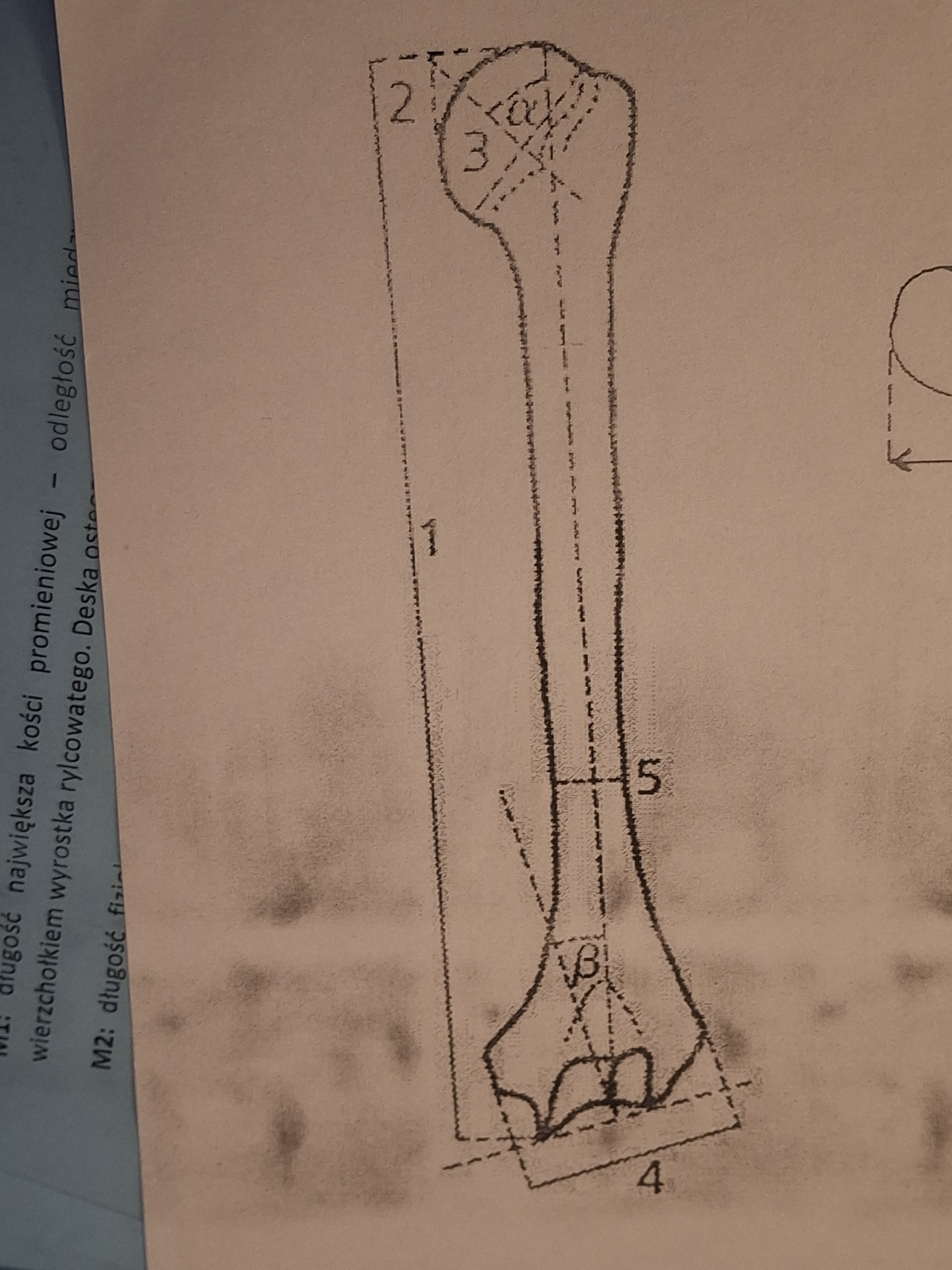 <p>M1 ramienna</p>