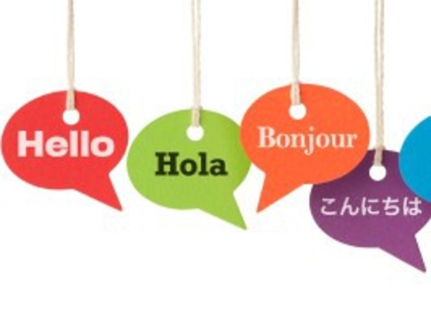 <p>translator</p>