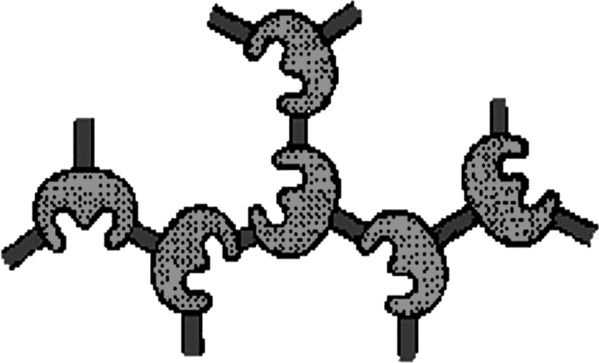 <p>Covalent or ionic bonds between the amino acids of the enzymes, sometimes using glutaldehyde</p>