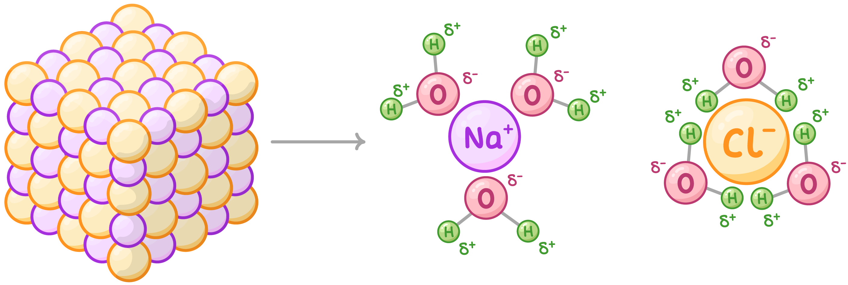 <ul><li><p>ionic compounds and polar molecules can easily dissolve/disassociate in it </p></li><li><p>this is because water is a polar molecule - +ve end attracts +ve ions and -ve end attracts -ve ions </p></li></ul><p></p>