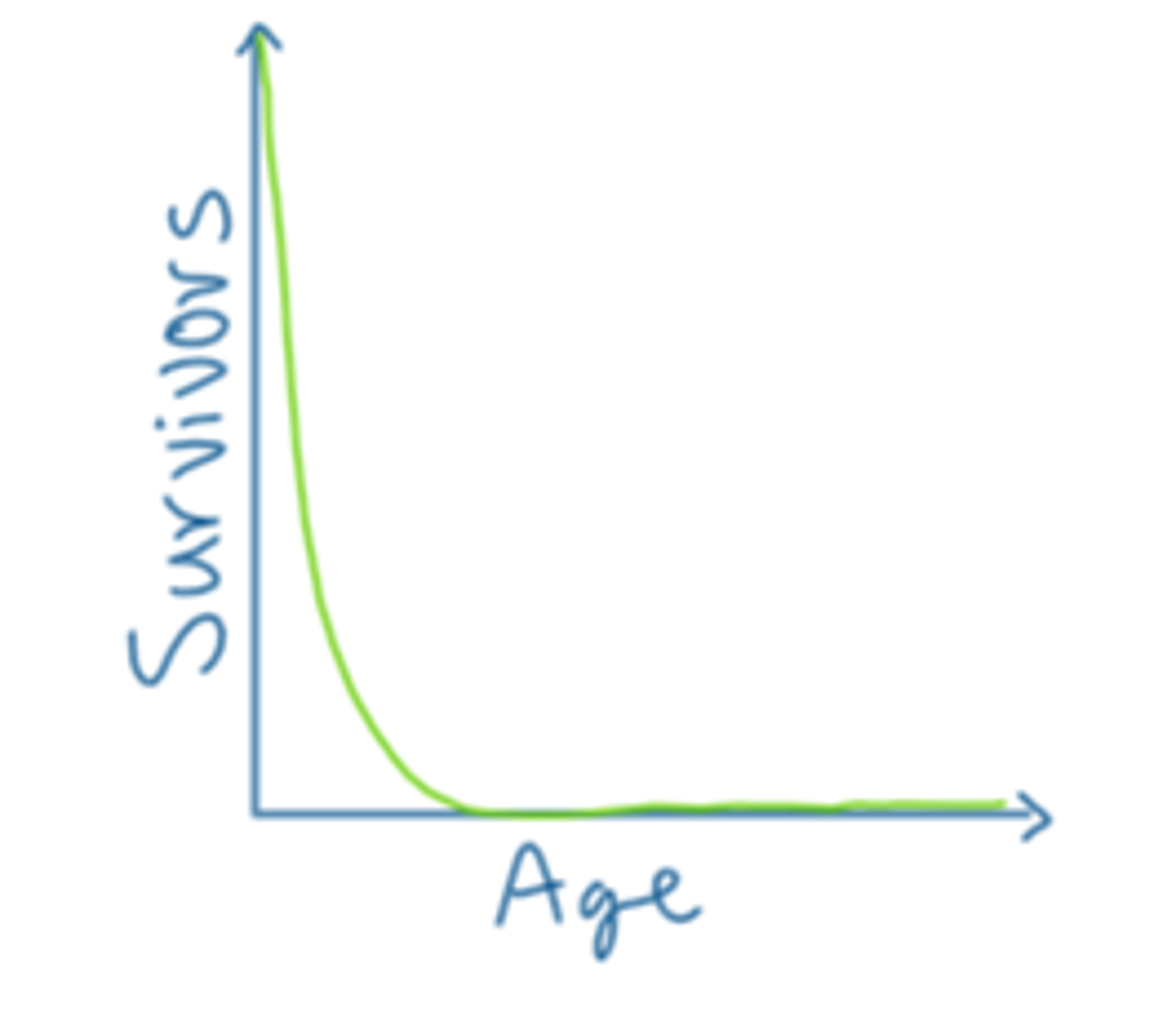 <p>high death rate, many individuals die young and few live to old age (insects)</p>