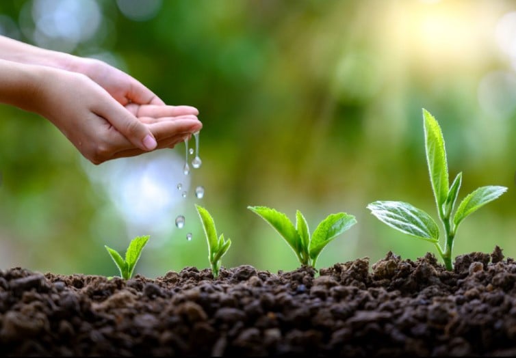<p>Elementos básicos de la ecología:</p>