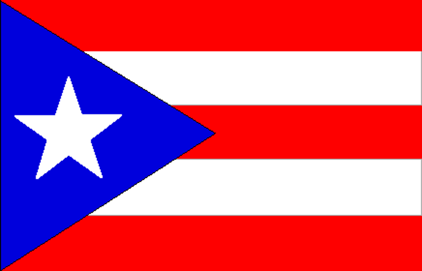 <p>Puerto Rican</p>