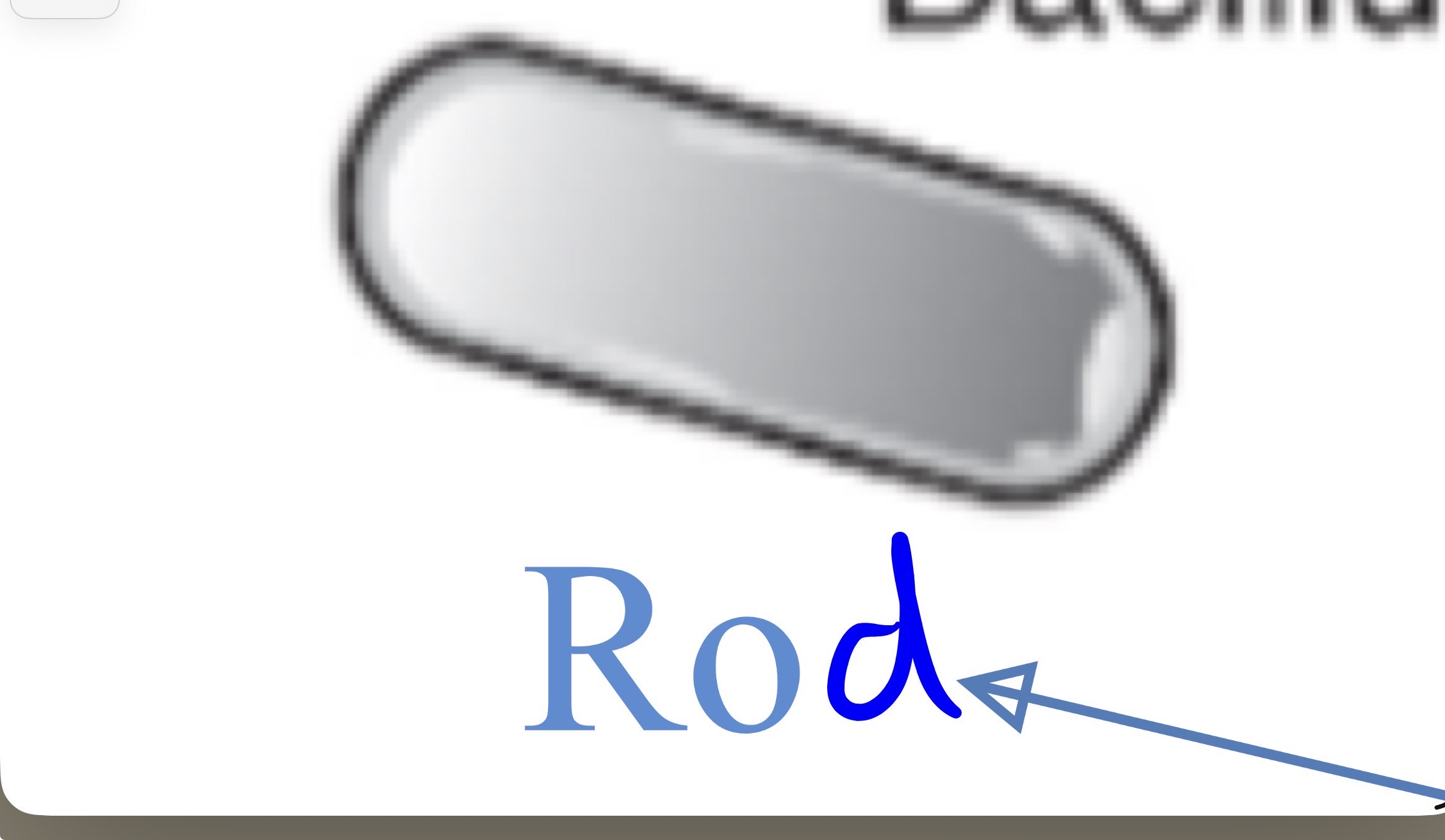 <p>Rod</p>