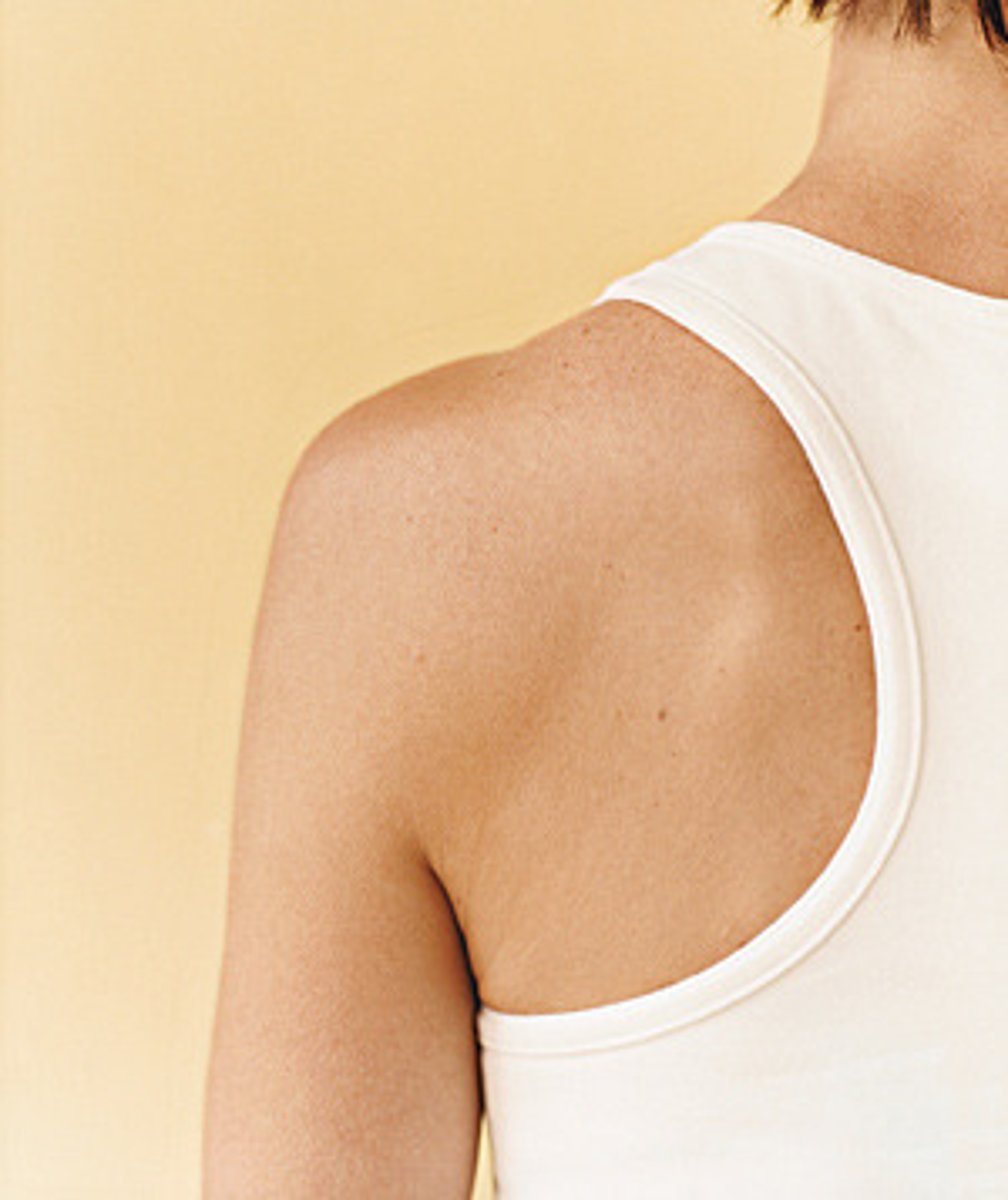 <p>the shoulder</p>