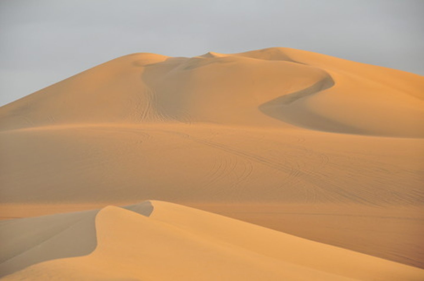 <p>A hill of sand, made and shaped by wind</p>