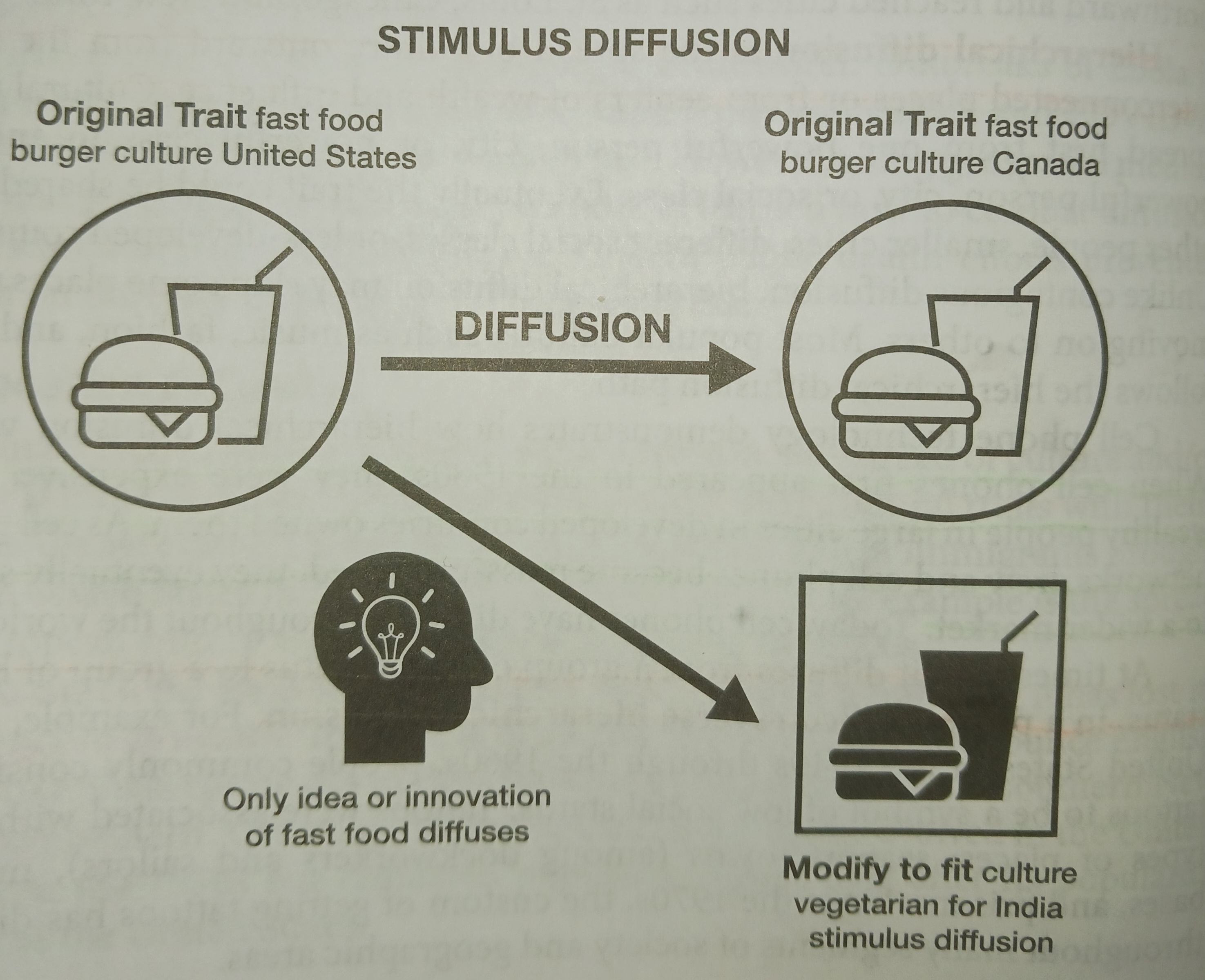 <p>when an underlying idea from a cultural hearth is adopted by another culture cut the adopting group modifies or rejects one trait</p>