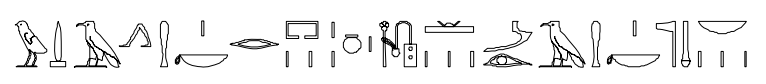 term image