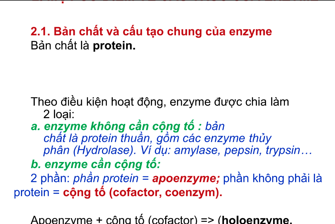 <p><strong>Coenzyme là dạng cộng tố có bản chất là:</strong></p><p>A. Ion kim loại</p><p>B. Protein</p><p>C. Chất hữu cơ, thường là dẫn xuất vitamin</p><p>D. Acid nucleic</p>