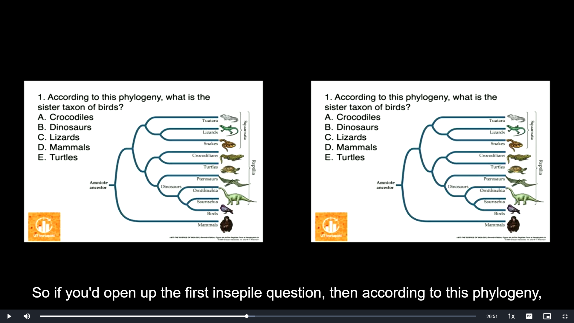 \
According to this phylogeny, what is the sister taxon of birds

\
A. Crocodiles

B. Dinosaurs

C. Lizards

D. Mammals

E. Turtles