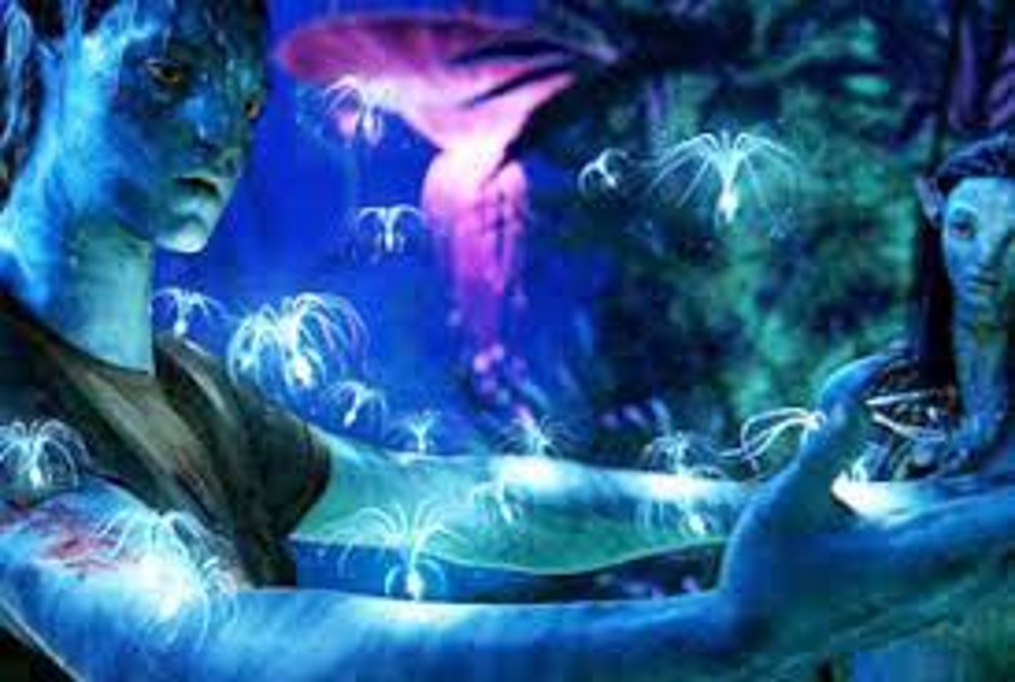 <p>the special effects</p><p>explosiones, sonidos y actos fantásticos en una película</p>