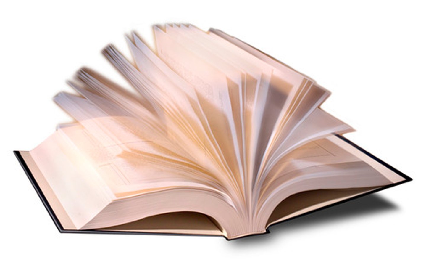 <p>Language, Truth &amp; Logic</p>
