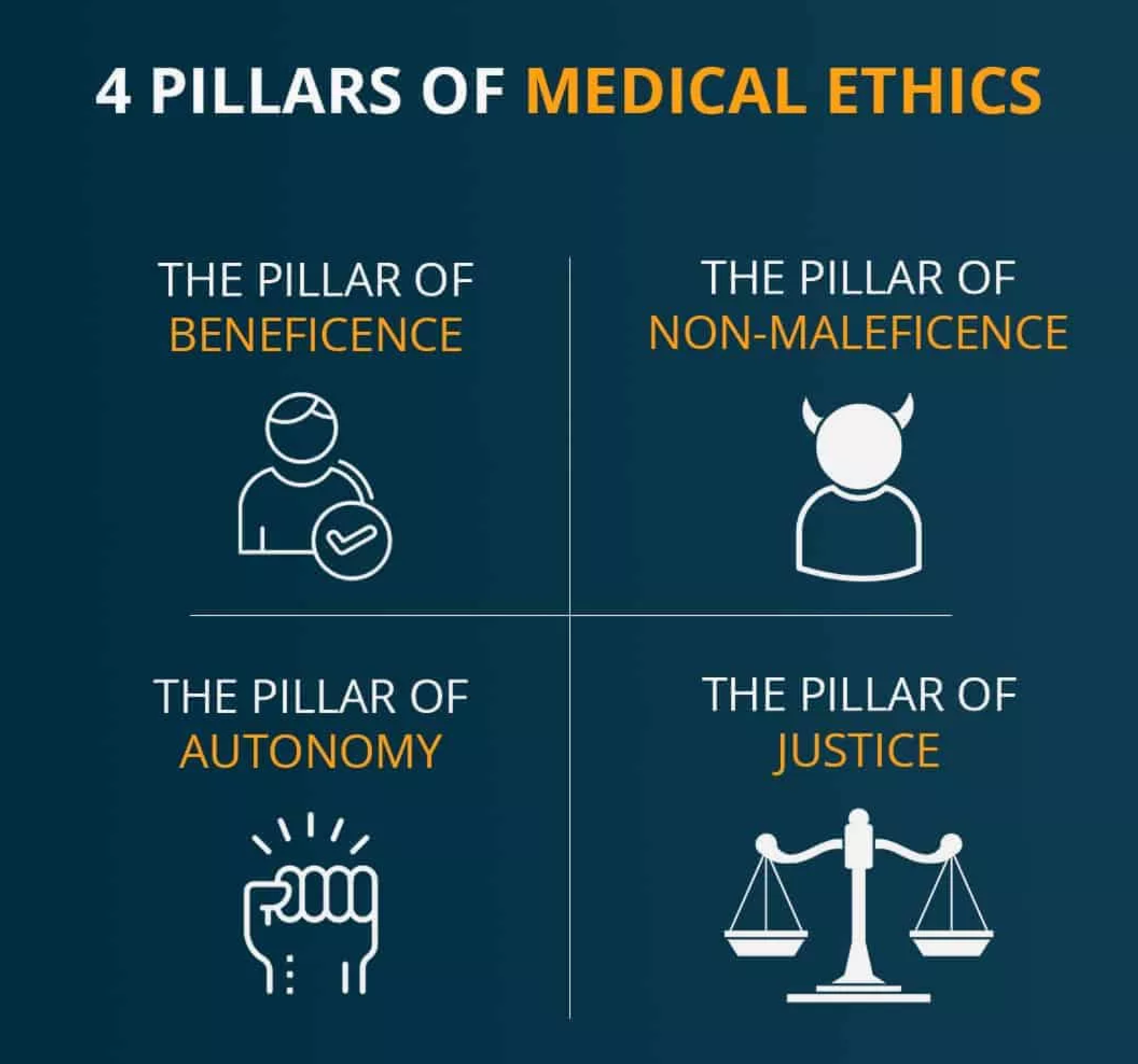 <p>Autonomy, beneficence, non-maleficence, justice</p>