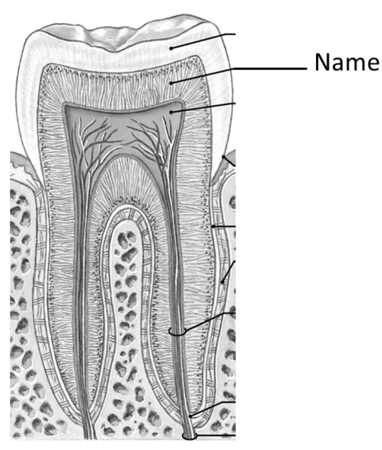 <p>What layer is the line pointing to </p>