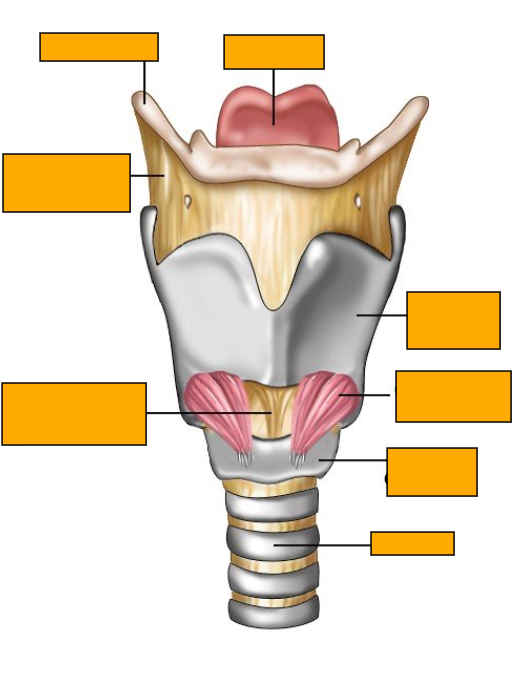 <p>Label clockwise</p>