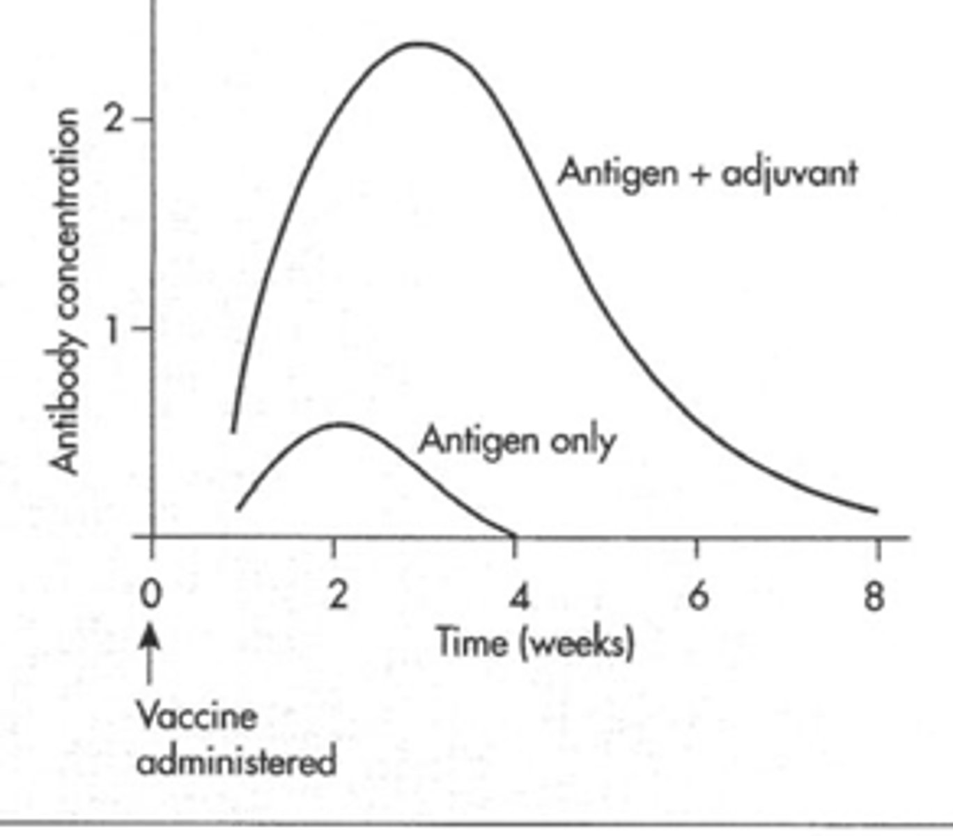 <p>a substance that enhances the body's immune response to an antigen (typically by prolonging antigen presence, activate dendritic cells, or trigger TLRs)</p>
