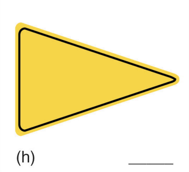 <p></p>