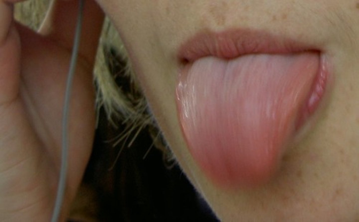 <p>DEFINITION</p><p>tongue(s)</p>