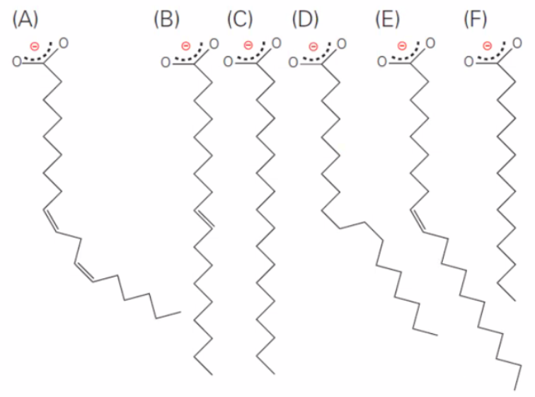 <p>A, B, E</p><ul><li><p>saturated: all C-C single bonds</p></li><li><p>unsaturated: with C=C double bonds</p></li></ul>
