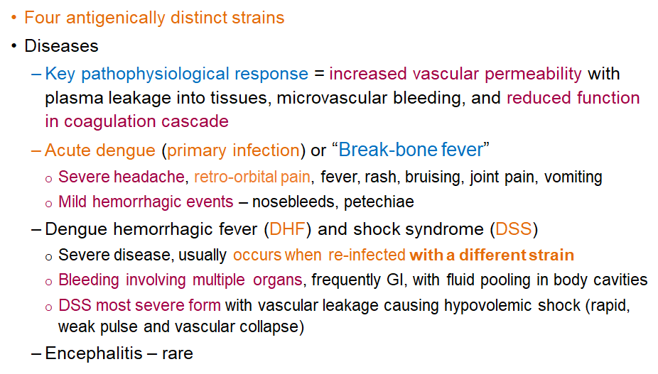 <p><strong>Severe disease</strong> that <strong>usually occurs during re-infection with a different strain</strong>; can involve <strong>bleeding in multiple organs</strong> and fluid pooling.</p>