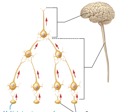 <p>what is this an image of?</p>