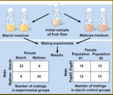 <p>Can reproductive barriers evolved as by-products of adaption of populations to different environments? (fruit fly experiment)</p>