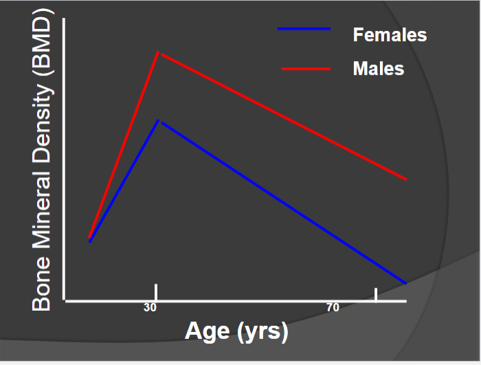 <p>Male vs Female BMD</p>