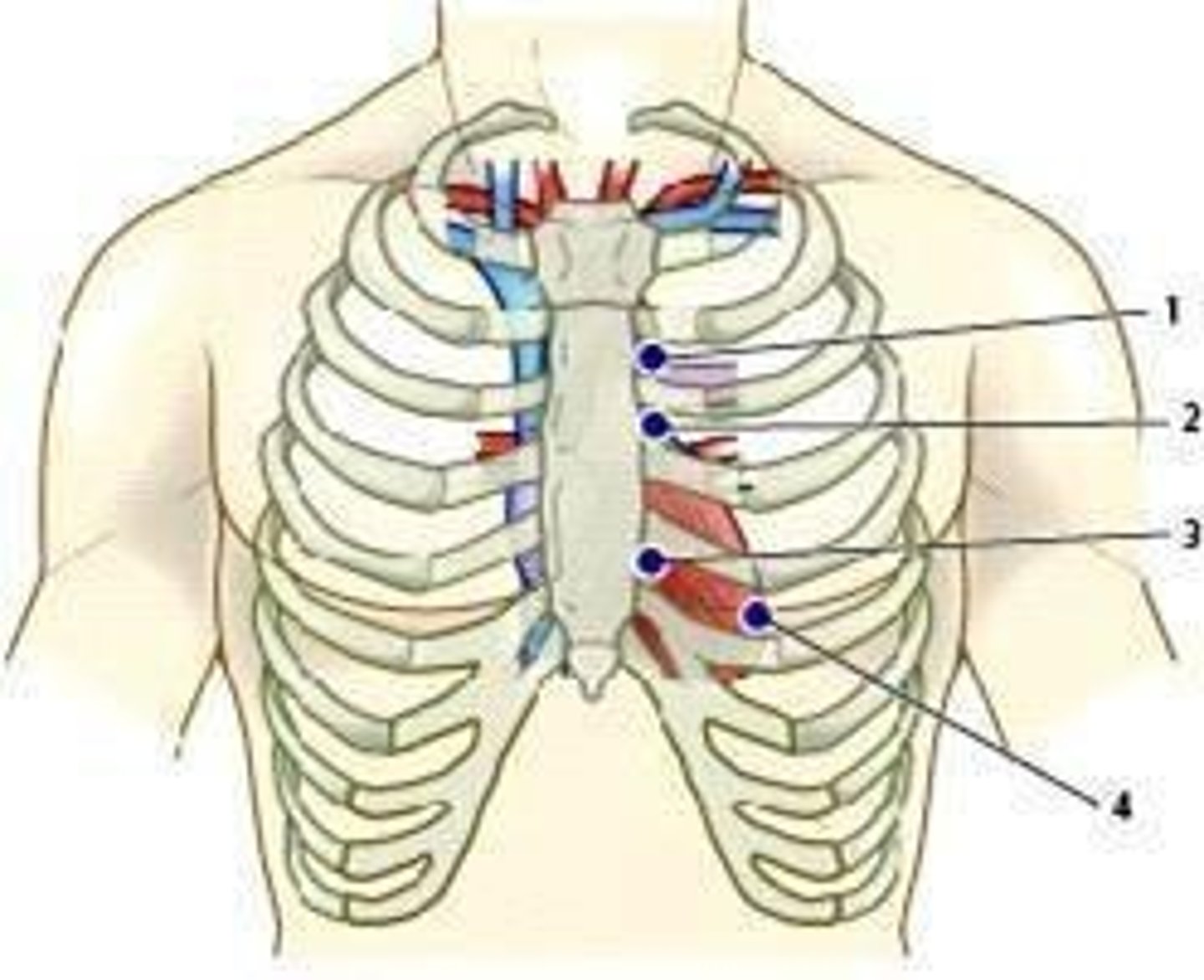 <p>Research design for testing treatment efficacy.</p>