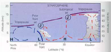<p>En la Troposfera existen grandes gradientes de Tº y P, lo cual las ocasiona. Existen 2 por hemisferio (Subtropical y Polar).</p>