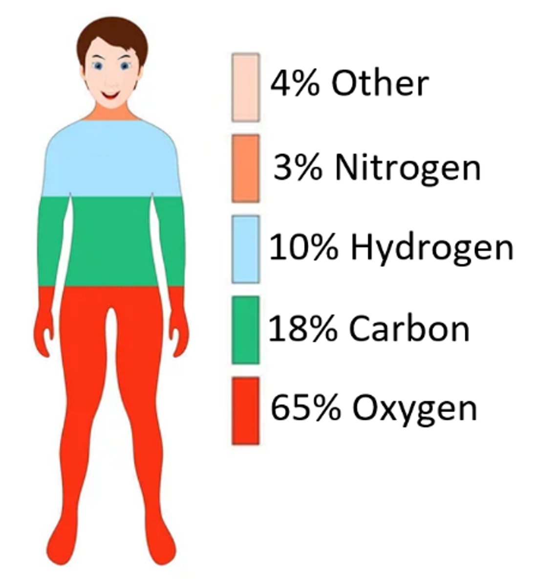 <p>compounds containing oxygen, carbon, &amp; hydrogen; materials derived from living organisms</p>