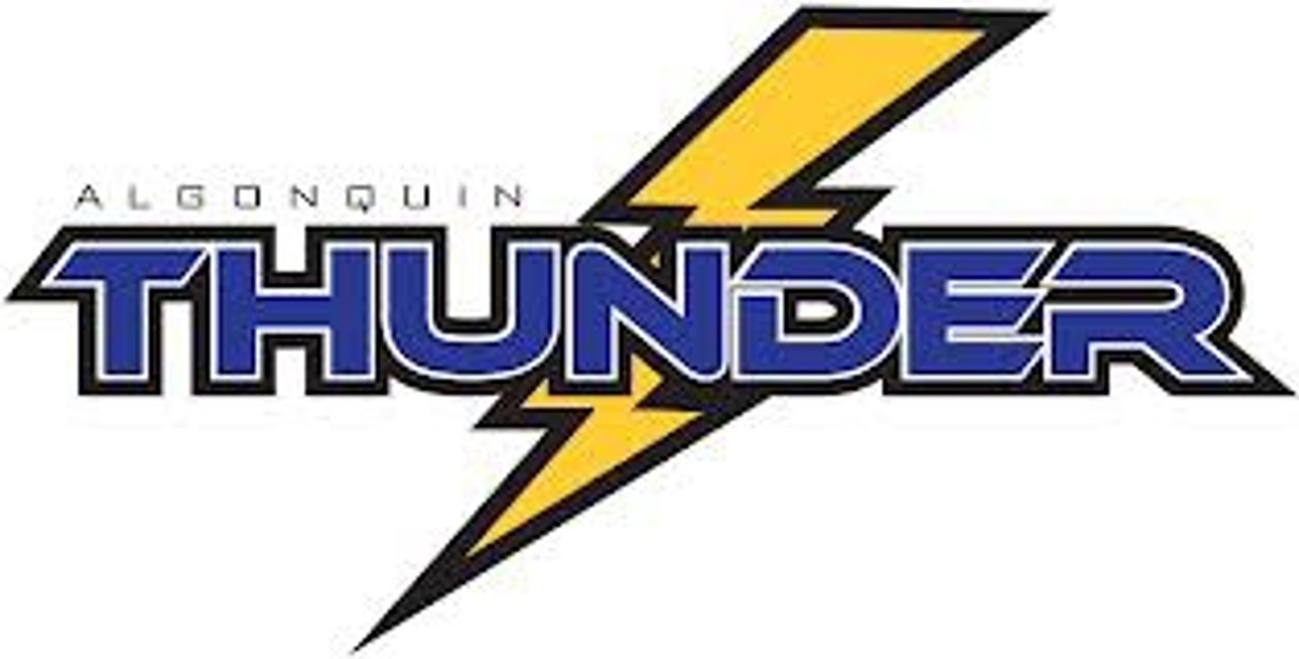 <p>thunder</p>