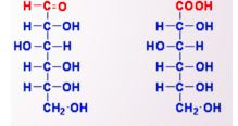 Identify what type of oxidation product and what name 