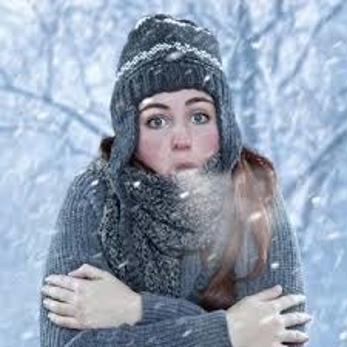 <p>Il fait un froid glacial (315)</p>