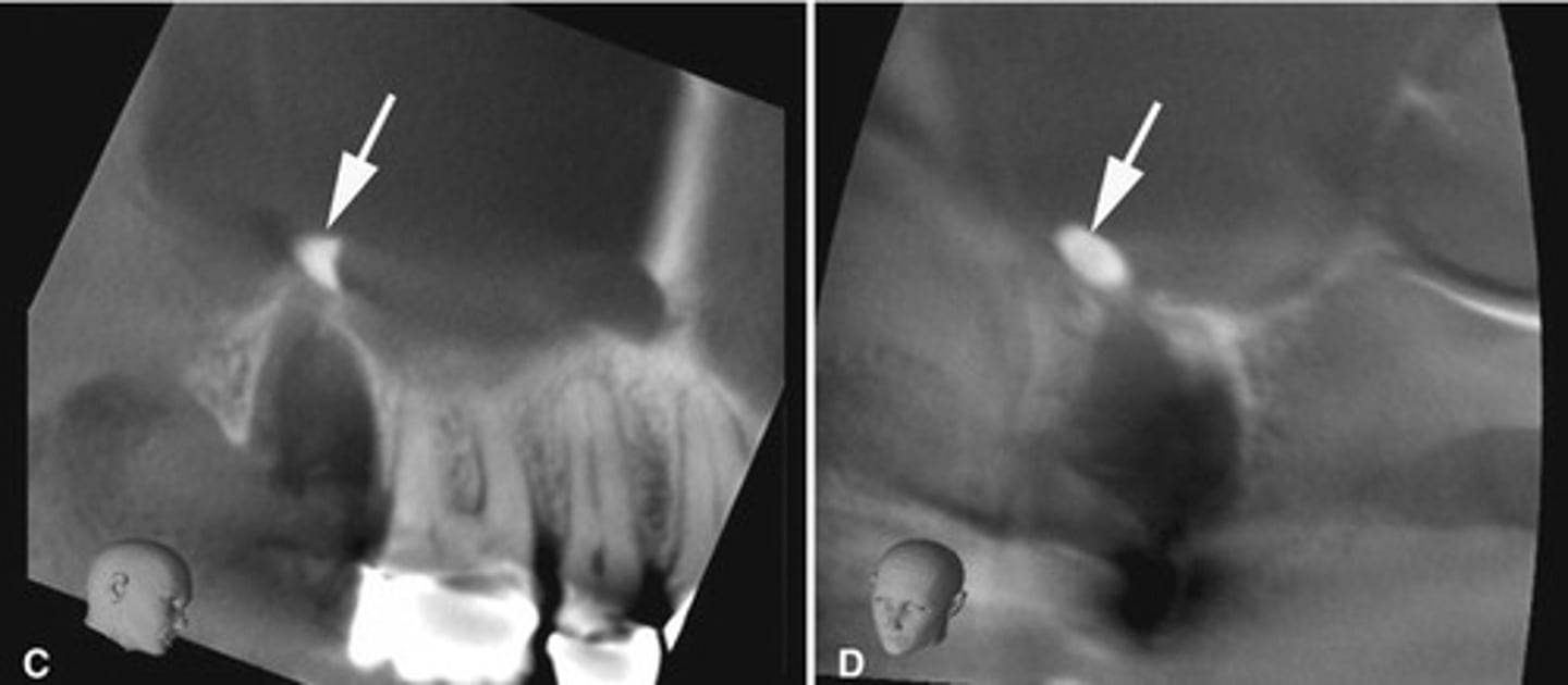 <p>What does the image show?</p>