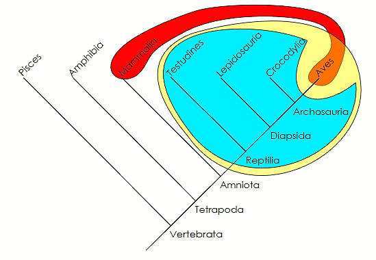 <p>compares two unrelated groups</p>