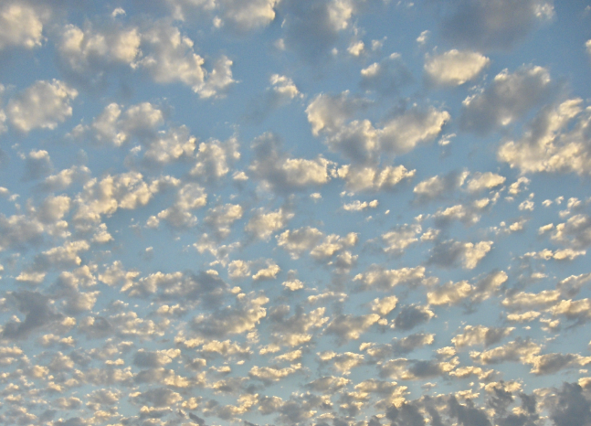 <p><span>Alto Cumulus Castellanus (ACC)</span></p>