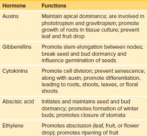 Table 21.1 - Functions of the Major Plant Hormones