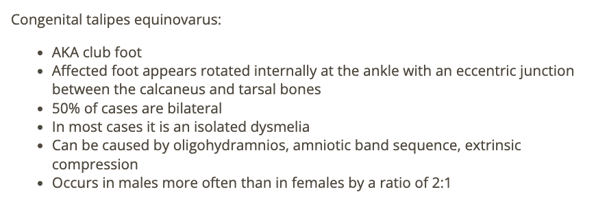 <p>d) talipes equinovarus</p>