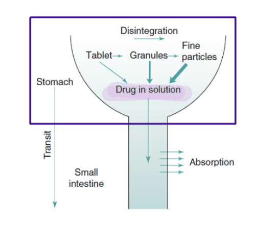 <ul><li><p>The drug that is best absorbed is in a solution </p></li></ul><p></p>