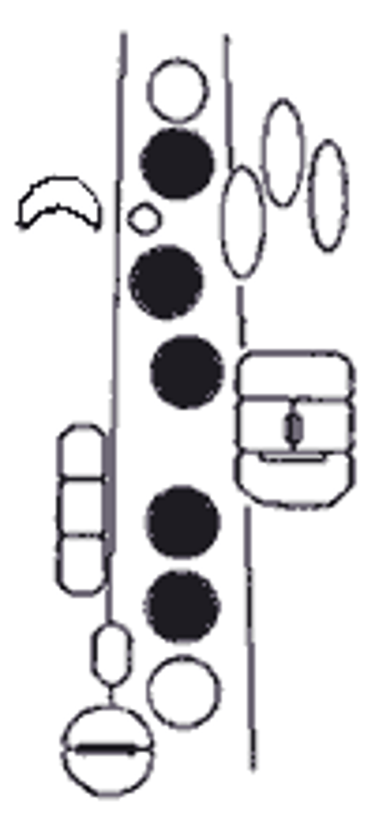knowt flashcard image