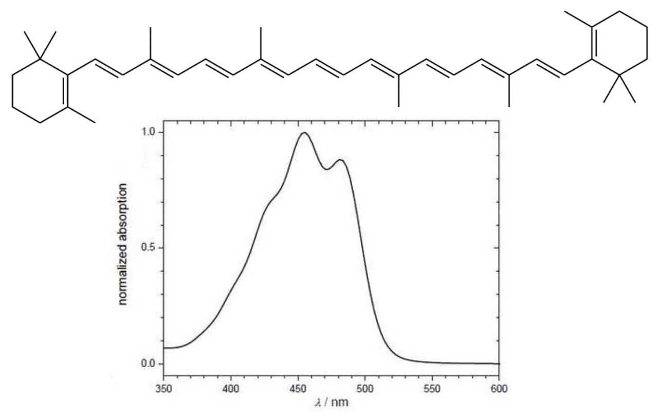 <p>= highly conjugated molecule allows absorption in the blue/green of vis region </p><p>= <span style="color: #ffa012">orange </span></p>