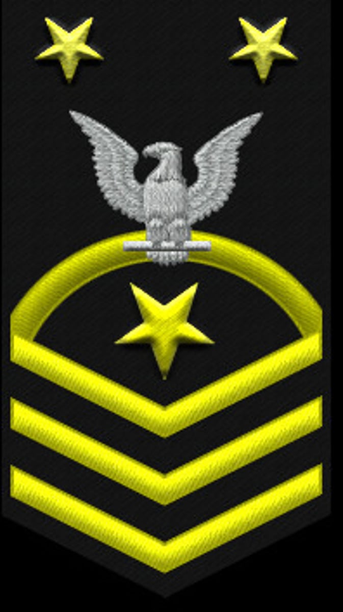 <p>2 Silver Stars, Silver USN on a gold fouled anchor</p><p>2 Gold Stars</p><p>Perched Eagle</p><p>1 Rocker</p><p>1 GOLD Star</p><p>3 Chevrons</p>
