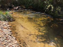 <p>The <u>bottom of a stream</u>.</p>