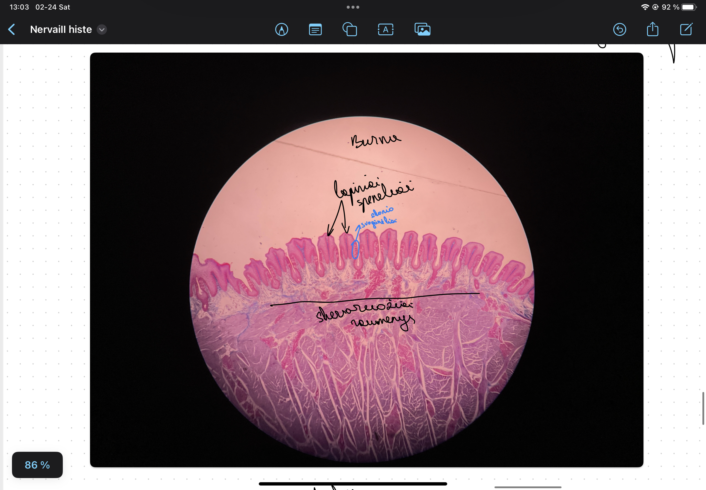 knowt flashcard image