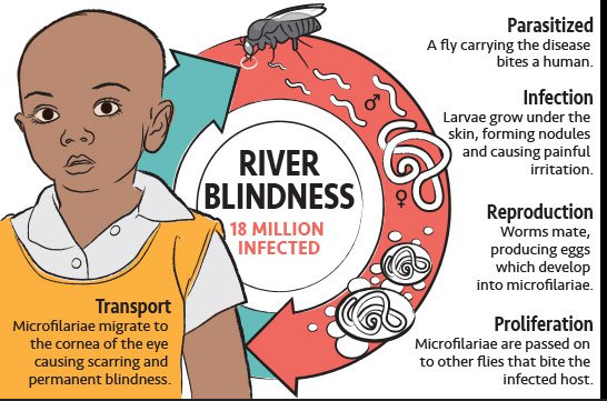 <p>River blindness.</p>