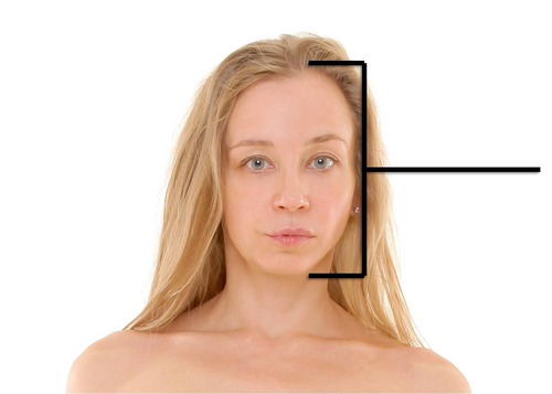The development of a structure at one end of the body that has specialized feeding and sensory structures. (Head)
