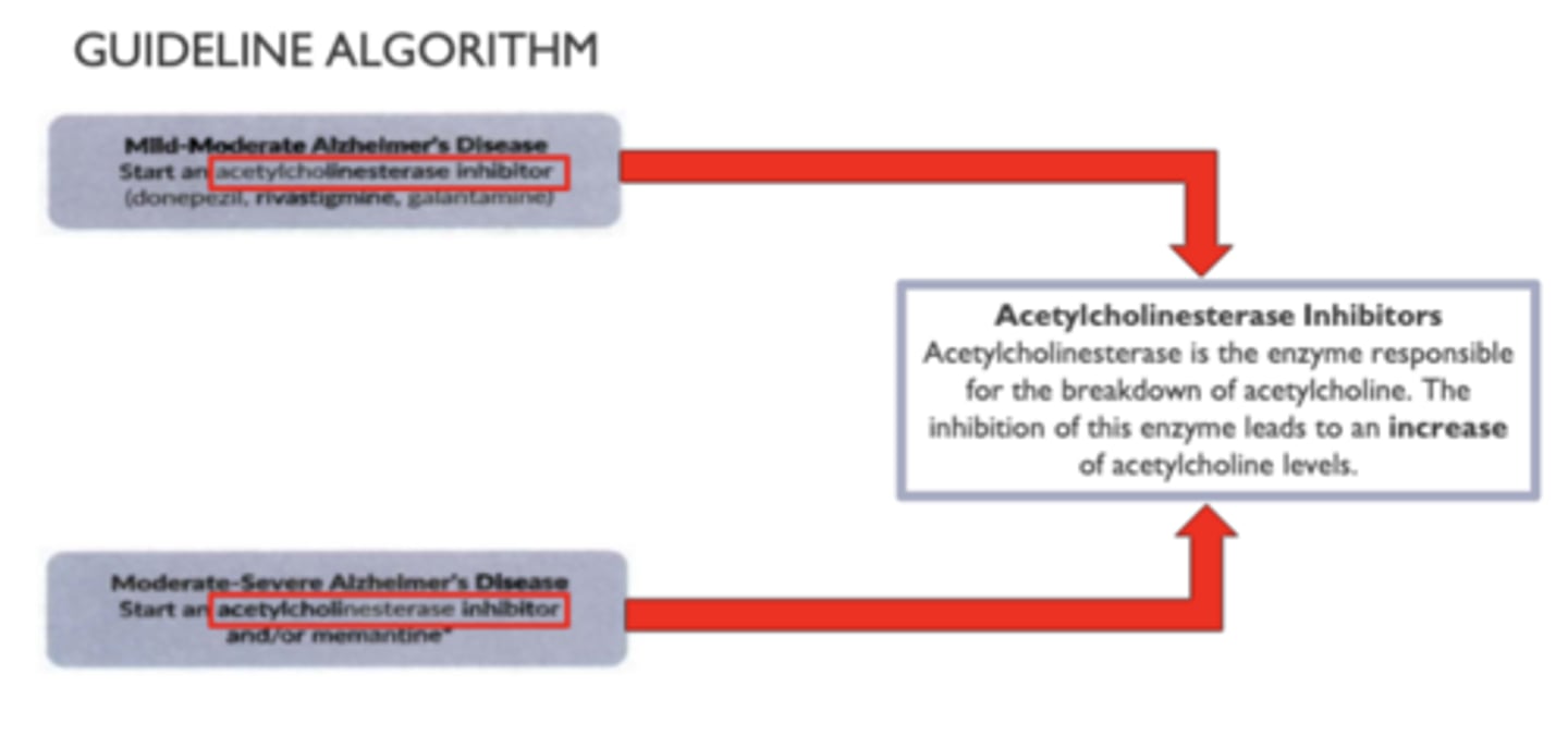 <p>e. add memantine</p>