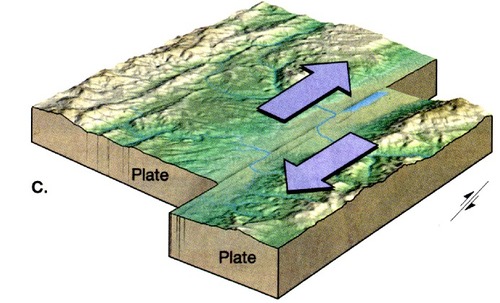 <p>a plate boundary where two plates move past each other in opposite directions</p>
