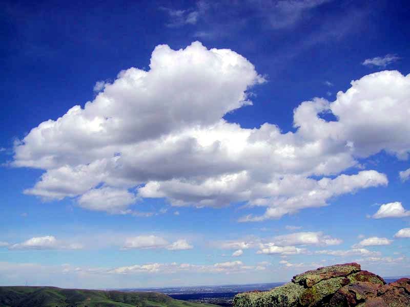 term image